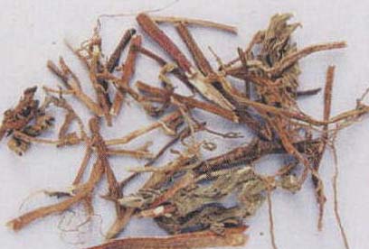 薄荷